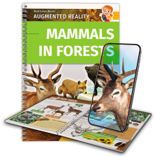 Mammals in Forests