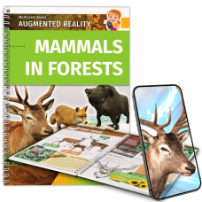 Mammals in Forests Mammals in Forests
