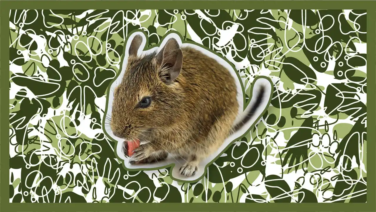 Eichhörnchen am Boden und am Himmel