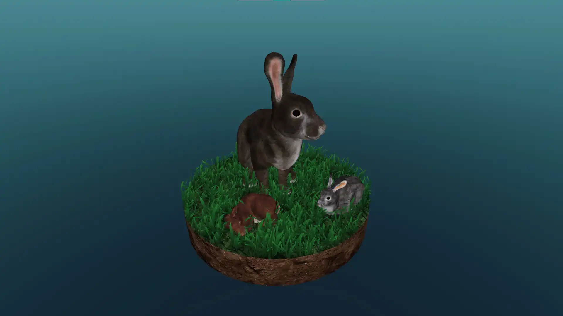 Das Wildkaninchen