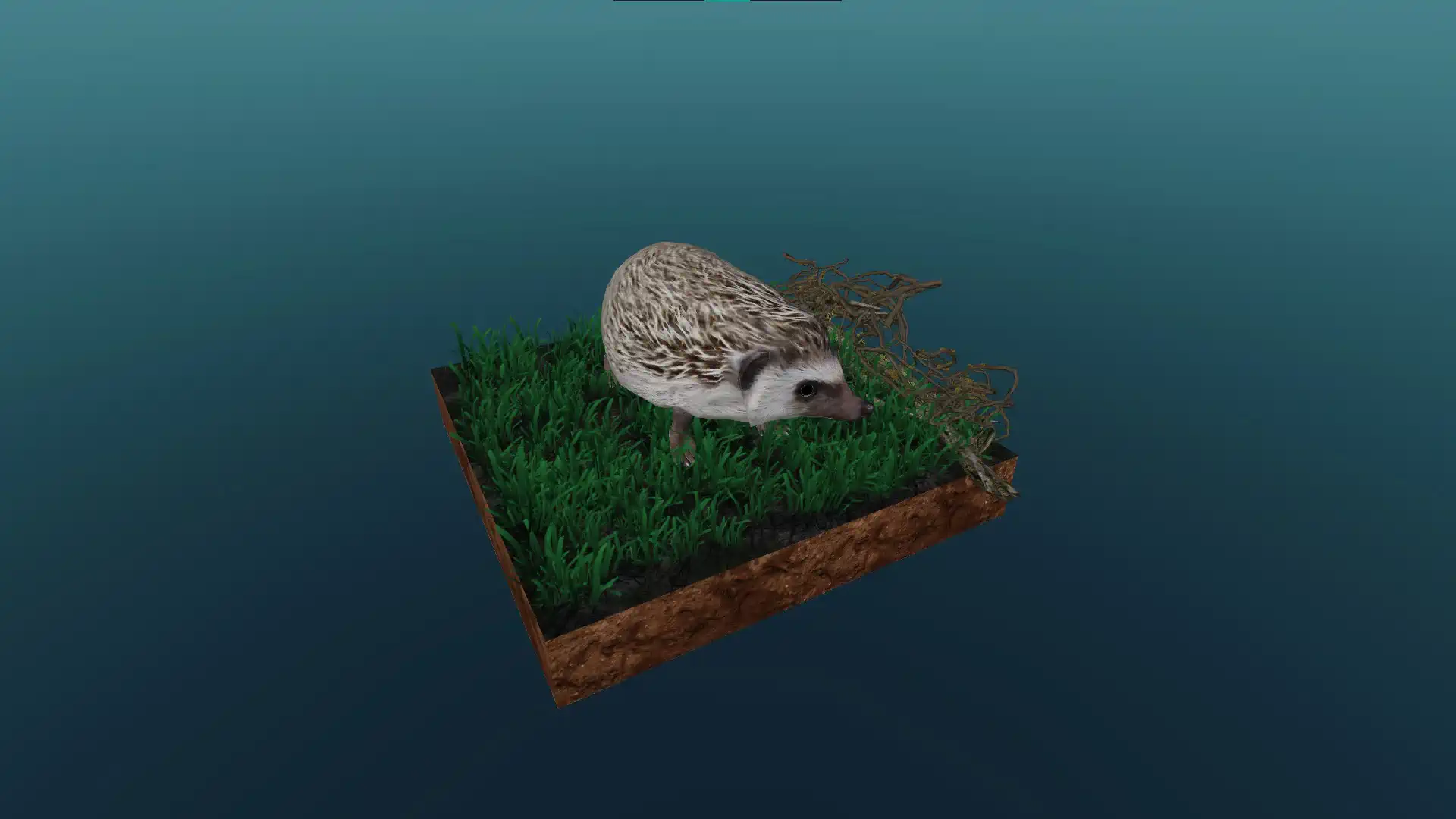 Der Igel