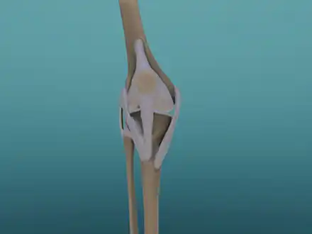Aching Joints