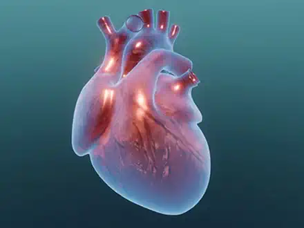 It Beats for You!