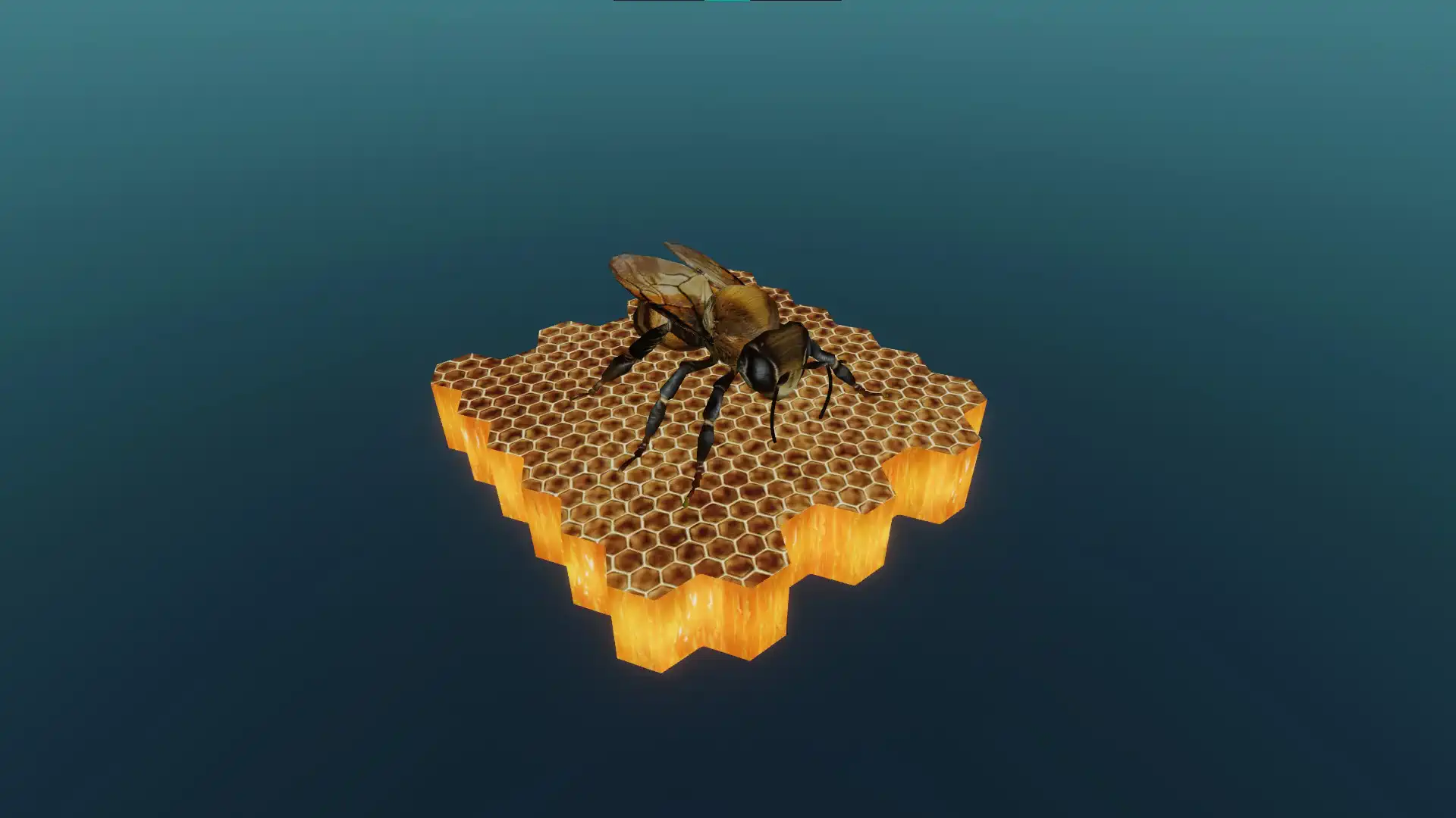 The domestic honeybee