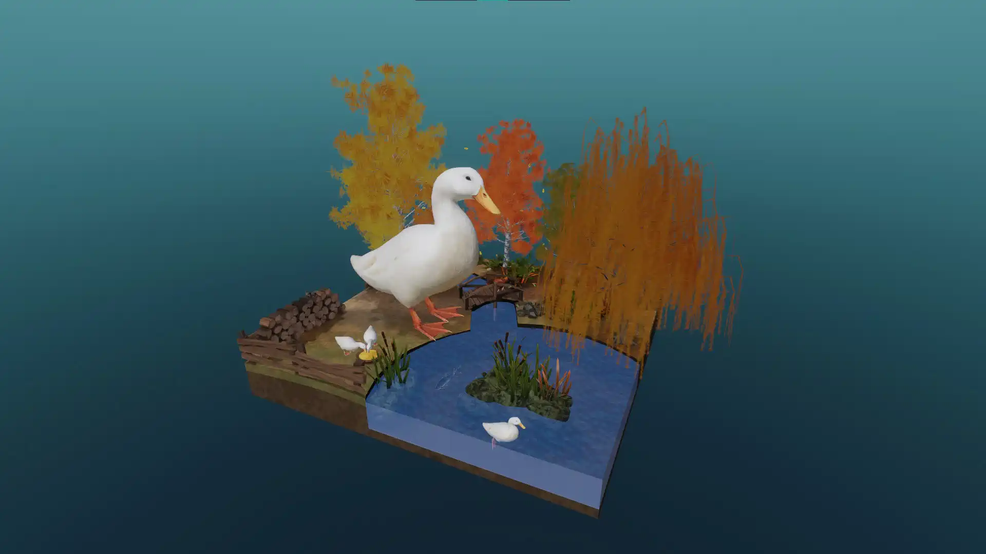 The house duck