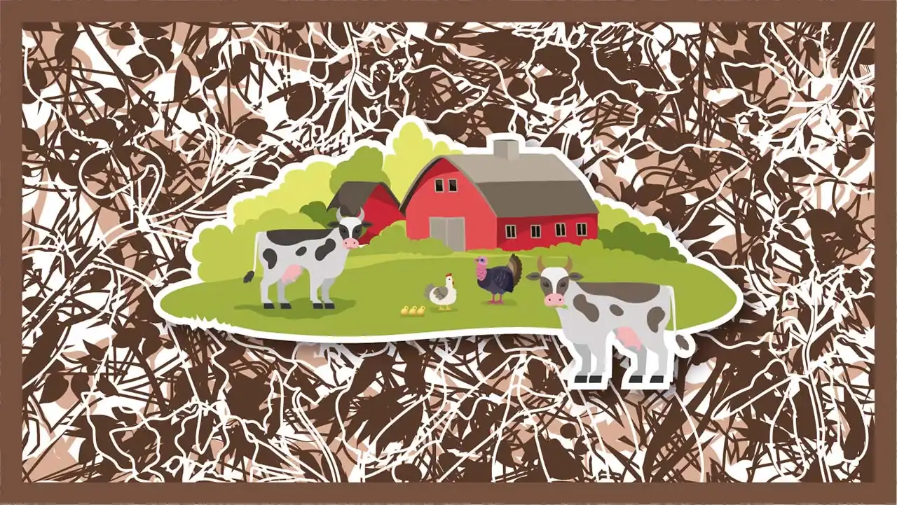 Animals around the house