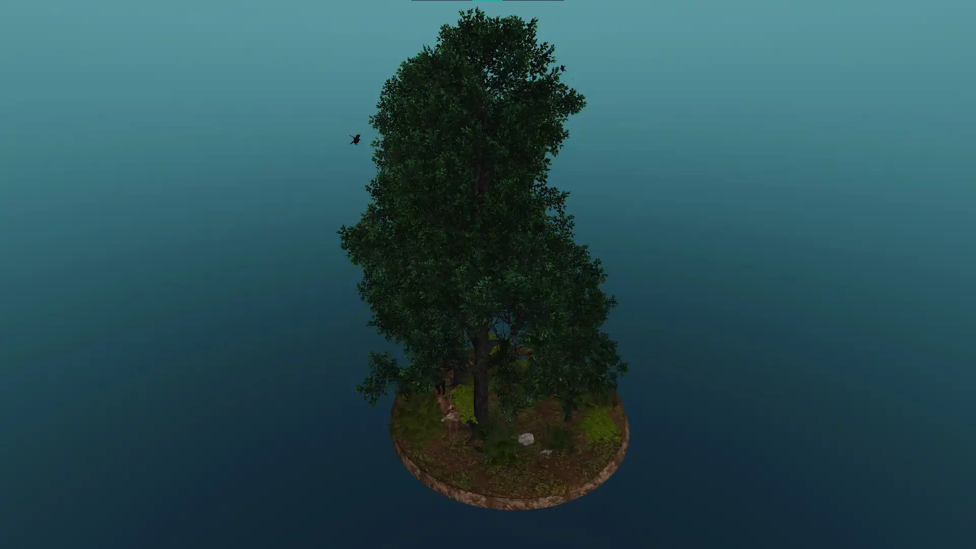 Levels or layers of the forest