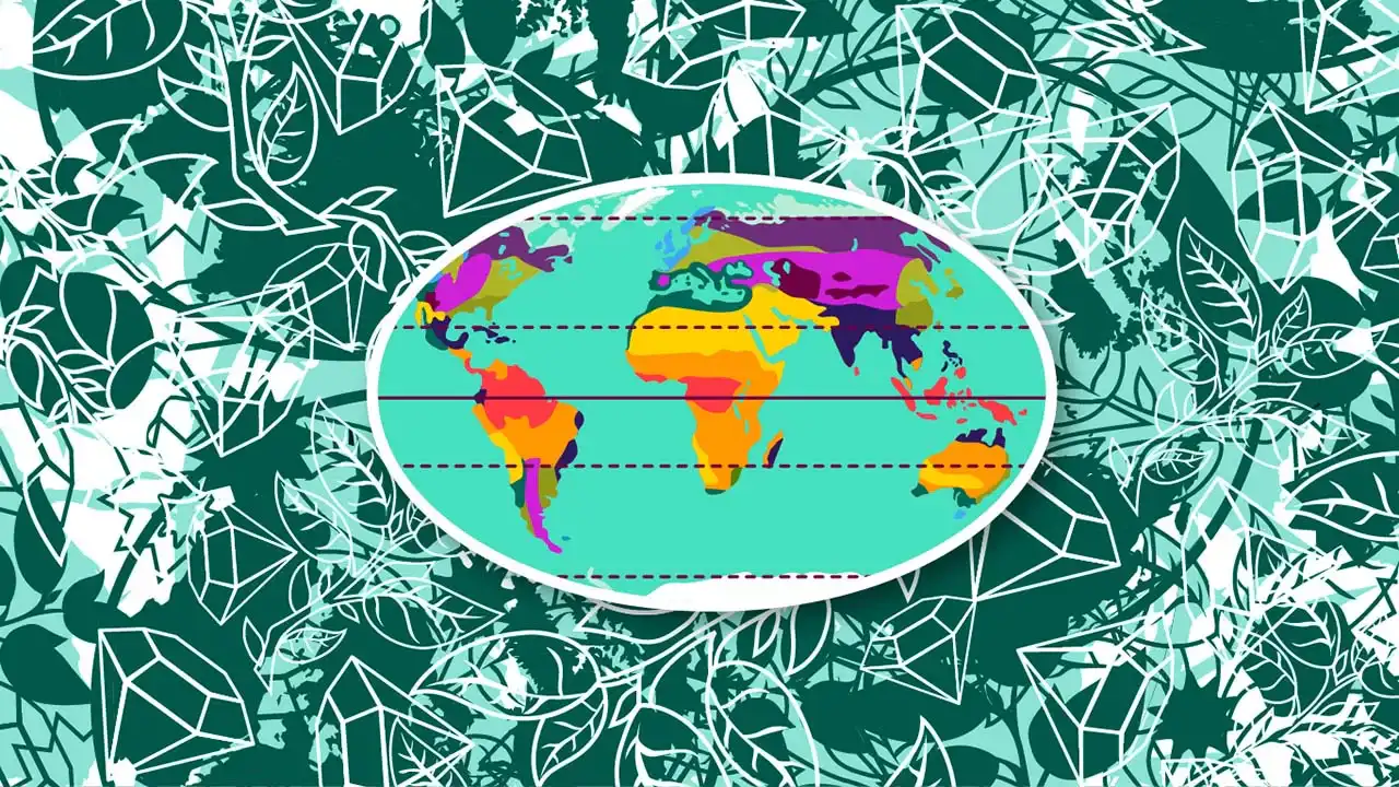 Geographical Zoning 