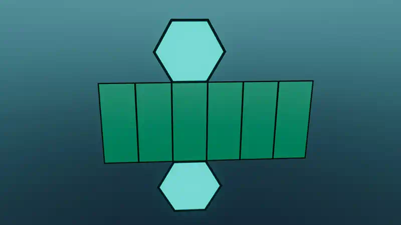 The surface area of a right prism
