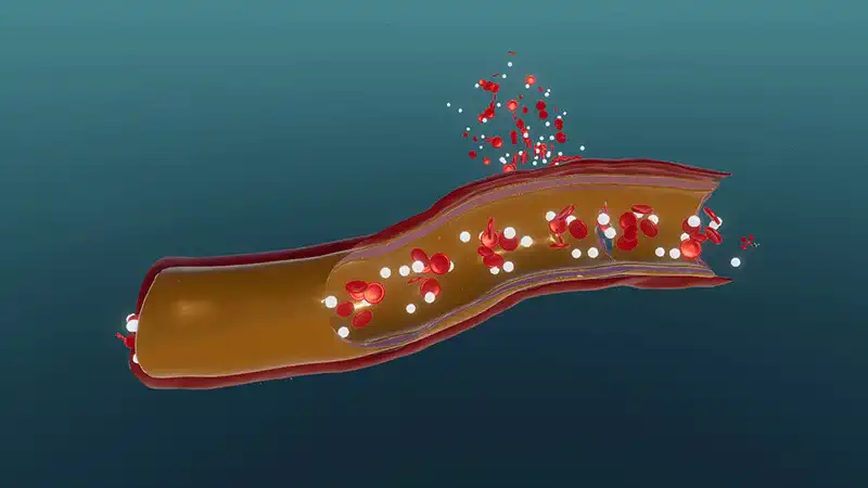Die Hämostase