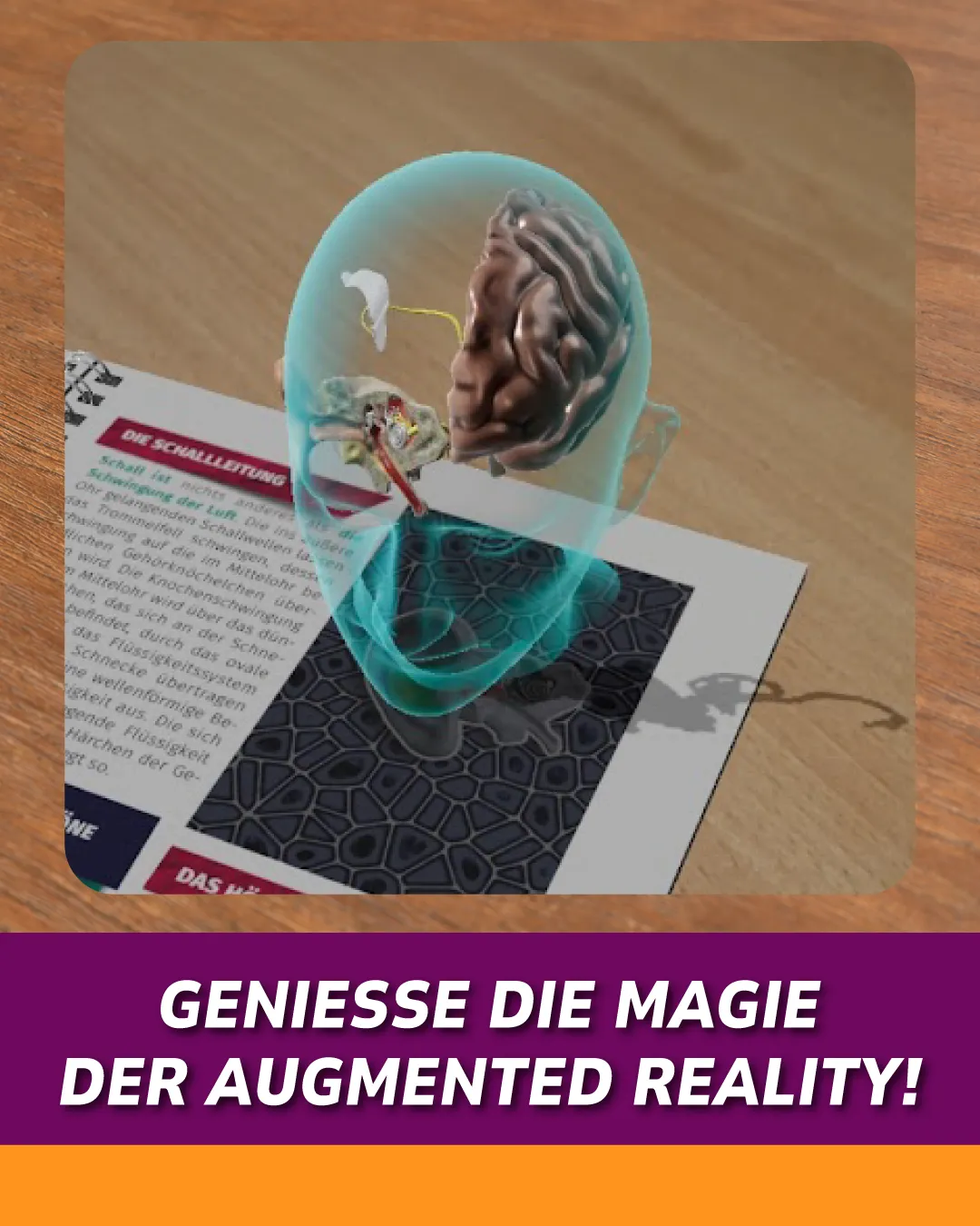 Geniesse die Magie der Augmented Reality